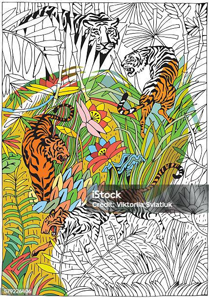 Tiger In The Jungle Exotic Tropical Theme Coloring Page Stock Illustration - Download Image Now