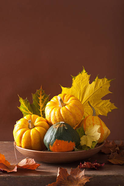 istock decorative mini pumpkins and autumn leaves for halloween 579226658