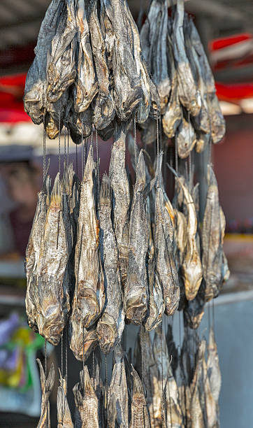 Dried salted bullhead goby fish on a cord. Dried salted bullhead goby fish on a cord on sale in street market bullhead fish stock pictures, royalty-free photos & images