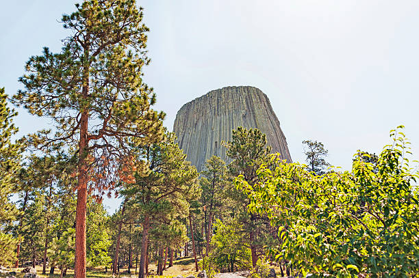 Devils Tower is one of Wyomings most popular monuments with visitors from the Nation over as well as foreign visitors. It is the first natural monument located in the Northeastern Wyoming in 1906 President Teddy Roosevelt designated Devils Tower as the nation's first national monument. This July day the line of visitors were long and a visit to the visitor center parking lot has allmost all the states represented.