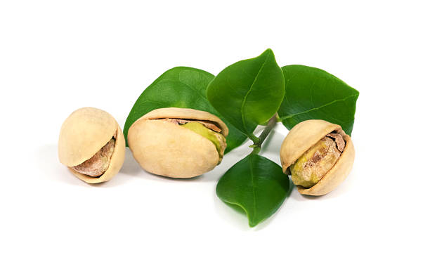 istock Pistachios with green leaves 579233194