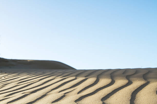 istock Sand of the desert at sunset 579241248
