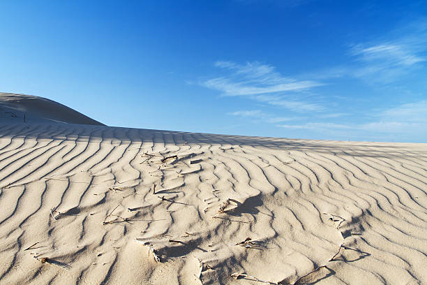 istock The sand of the desert at sunset . 579241348
