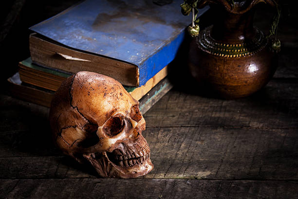istock Still Life with  Skull and book 579243446