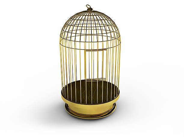 istock 3d render of a golden birdcage 579244384