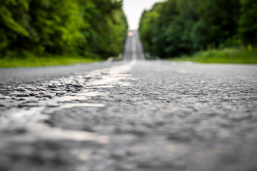 The road receding into the distance through the woods close-up as an abstraction