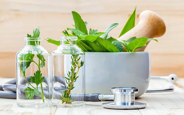 Alternative health care concept. Fresh herbs green mint ,rosemary ,parsley ,sage and lemon thyme in laboratory glassware with stethoscope on wooden background.