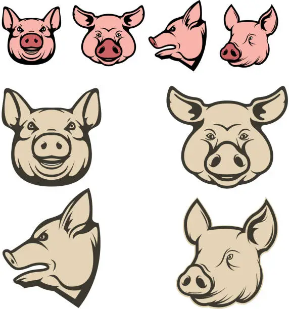 Vector illustration of pig heads. Design element