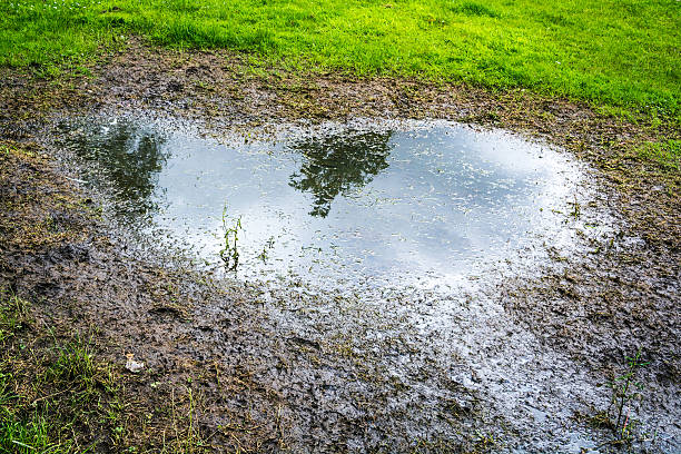 istock Muddy pond on a grass field in a park 579253790