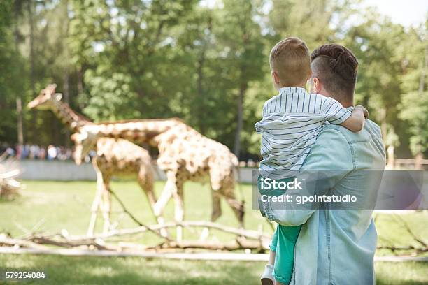 Guardando La Famiglia Di Giraffe Allo Zoo - Fotografie stock e altre immagini di Zoo - Struttura con animali in cattività - Zoo - Struttura con animali in cattività, Famiglia, Bambino