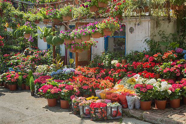 Istanbul, Turkey - June 24, 2016: Flowerpots covering a hut used as flower shop in Heybeliada which is the second largest of the Prince Islands in the Sea of Marmara, near Istanbul.