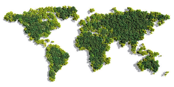 istock World Map made of green trees 579258936