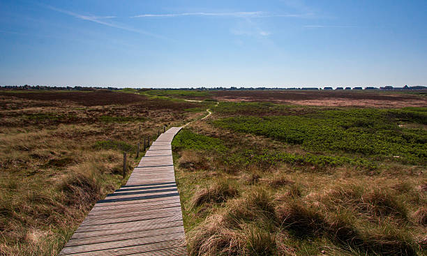 istock landscape on Sylt island at North Sea! 579260390