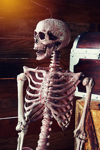 istock axial skeleton and blood with smiling , halloween decoration 579260488