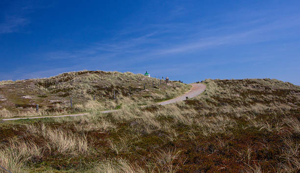 istock landscape on Sylt island at North Sea 579260552