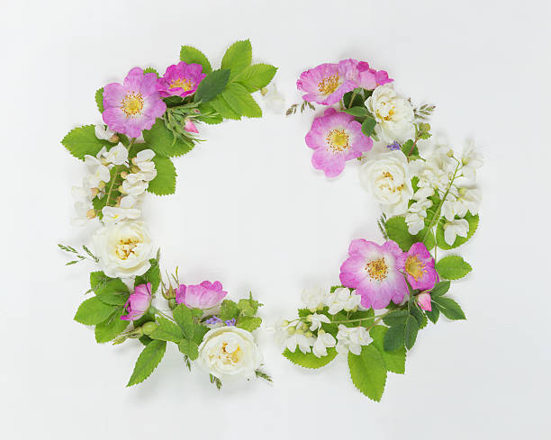 istock Wreath of wild flowers 579263972