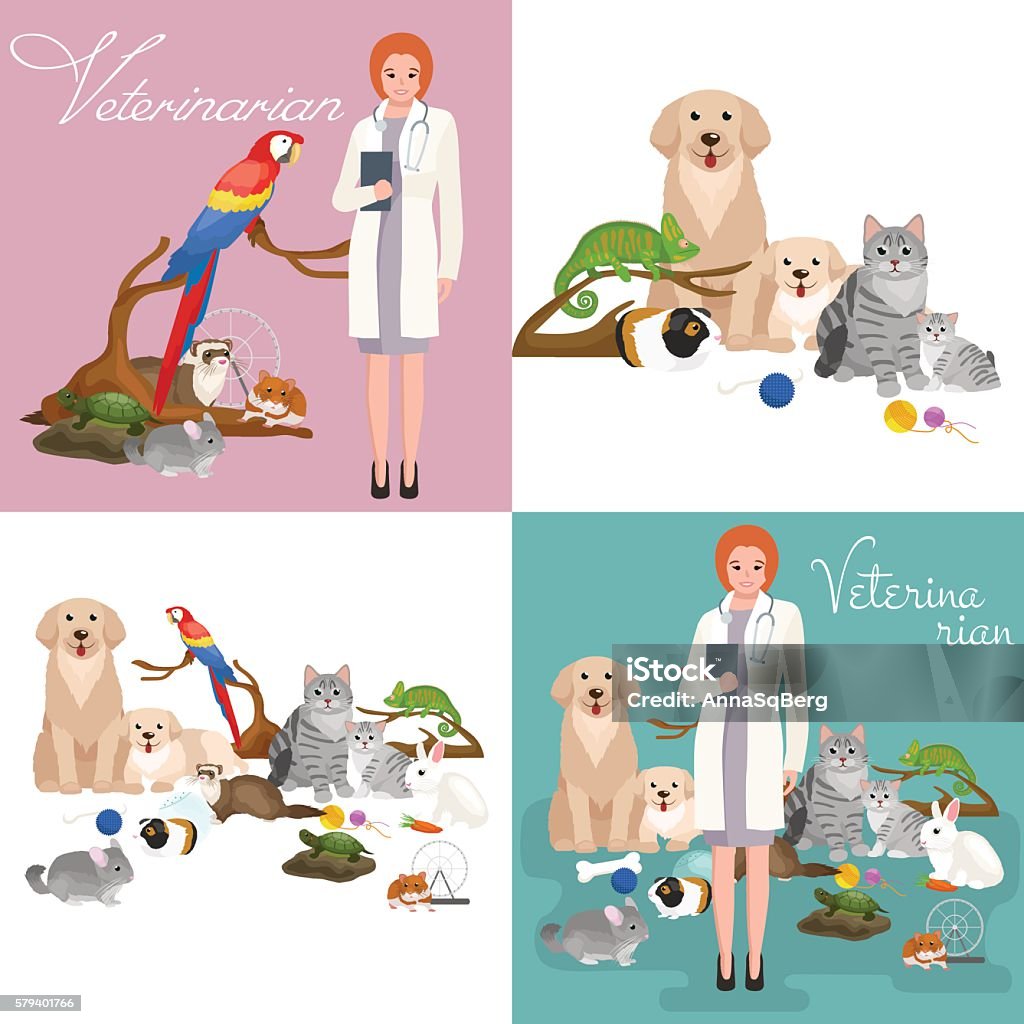 Group Of Pets And Veterinary Doctor With Animals Patient Stock Illustration  - Download Image Now - iStock