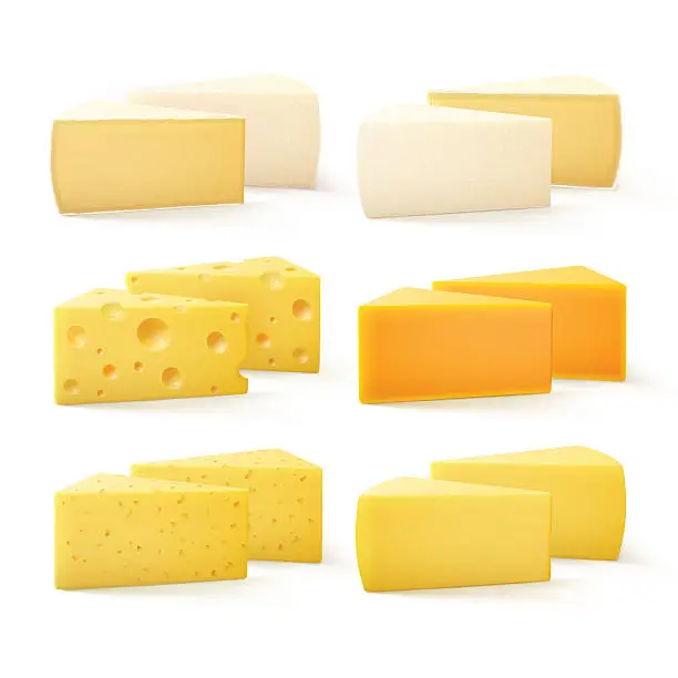 Vector illustration of Triangular Pieces of Kind Cheese Swiss Cheddar Bri Parmesan Camembert