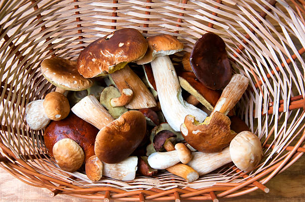 istock Fresh mushrooms in basket on wooden table 579403606