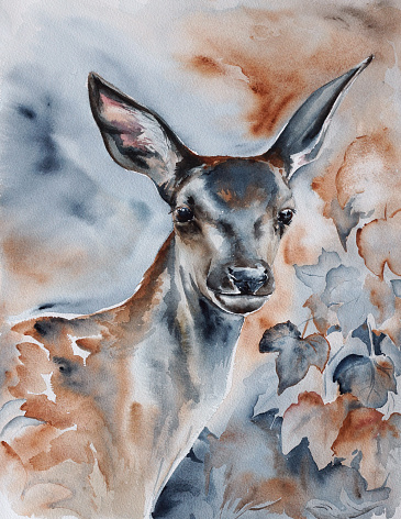 deer in the forest - watercolor wildlife painting with detailed paper texture