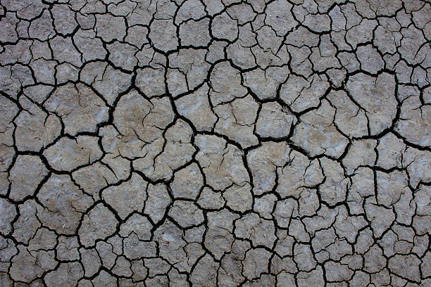 istock The Dry cracked ground surface for background. 579404822