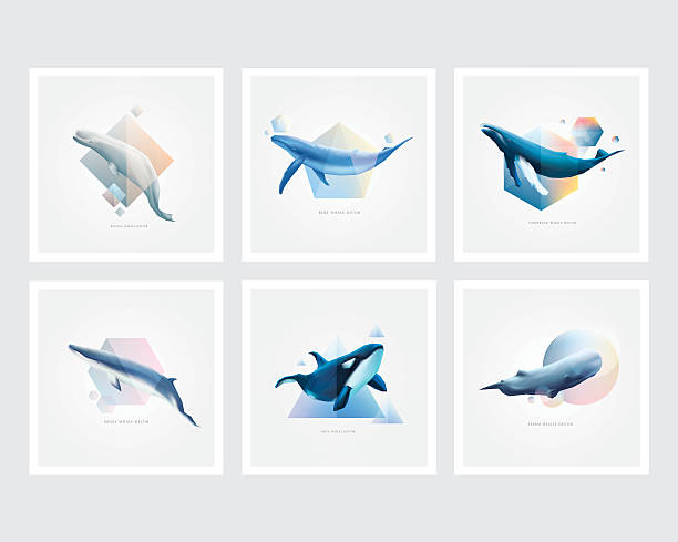 Set of whales with colorful geometric polygons Collection of marine mammals symbol decorations. Set of whales with colorful geometric polygons, triangle, circle and cubic shape designs whales stock illustrations