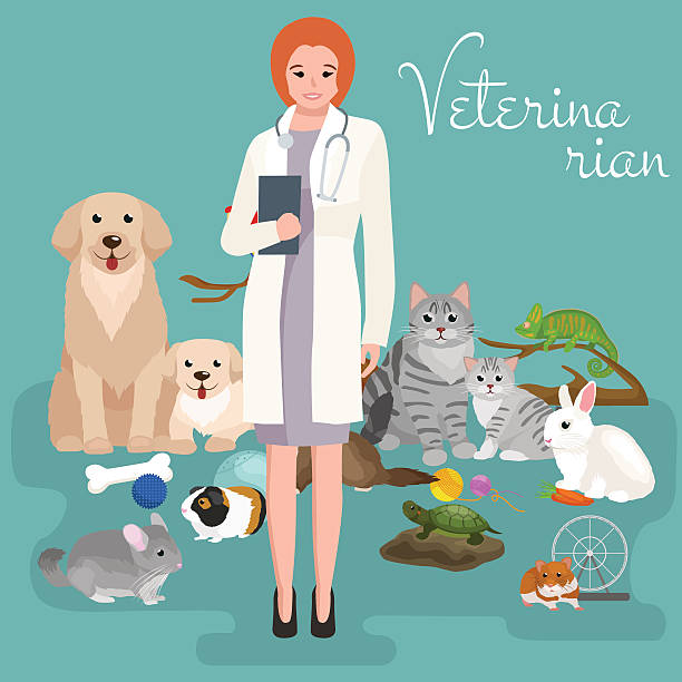 Group Of Pets And Veterinary Doctor With Animals Patient Stock Illustration  - Download Image Now - iStock