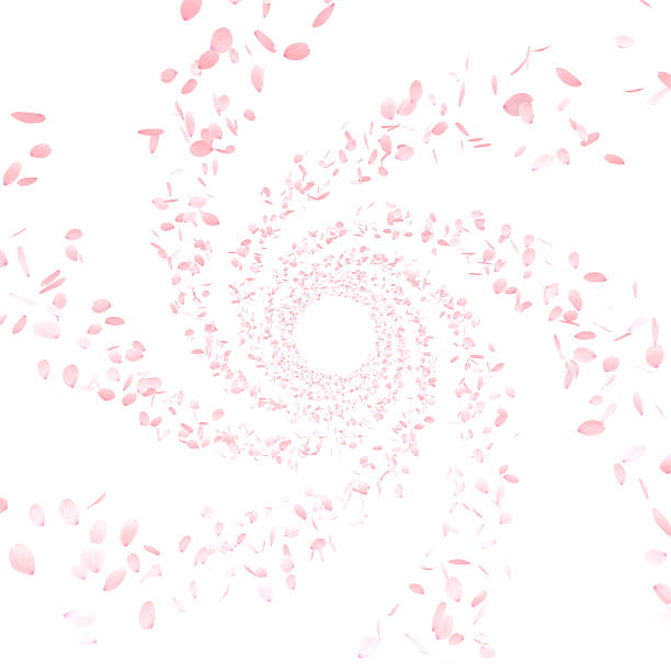 Illustration of pink flower petals (cherry blossoms flower) flying in air.