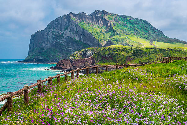 isla de jeju - corea del sur fotografías e imágenes de stock