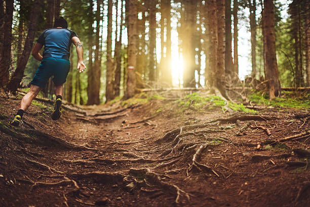 istock Trail running in the forest 579411438