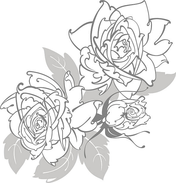 Trailing Roses Drawings 40+ Climbing Roses Drawing Stock Illustrations, Royalty-Free Vector ...