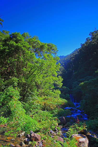 istock Nature landscape in north Taiwan 579414316