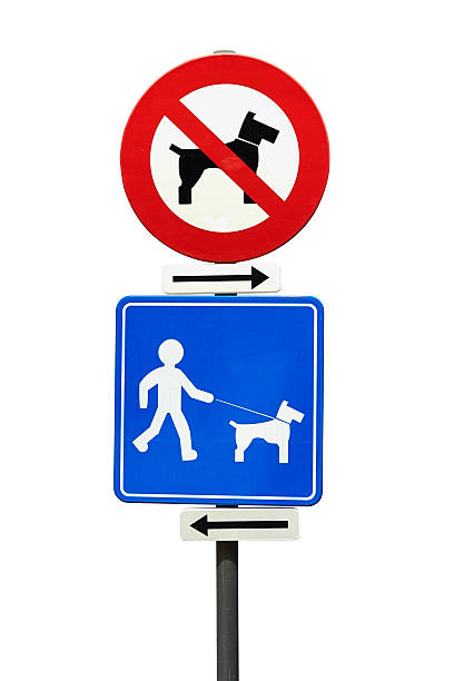 istock No Dogs On Beach and Dogs on Leash Only 579416236