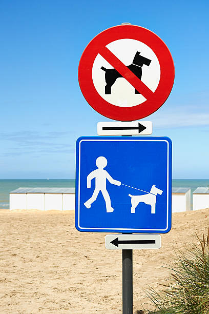 istock No Dogs On Beach and Dogs on Leash Only 579416304