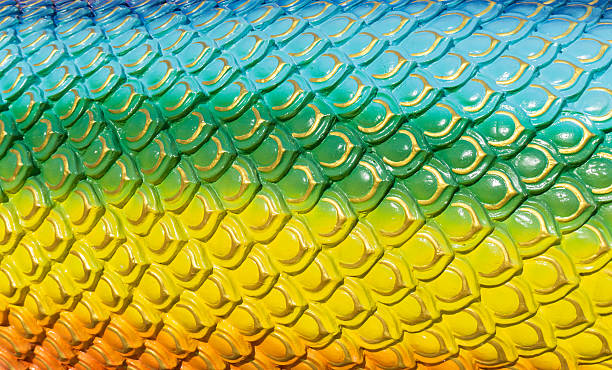 istock naga  Scale colorful beautiful background 579418398