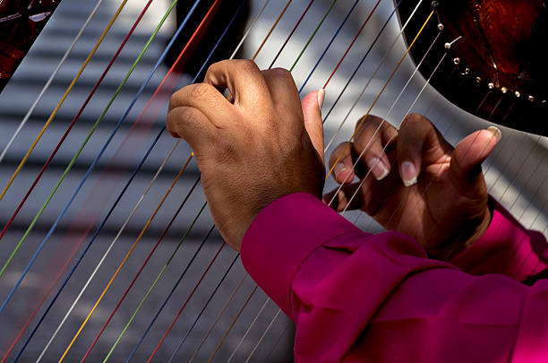 harpa - promenade concert - fotografias e filmes do acervo