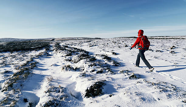 istock Hiker walking over the moors in winter. 579425124