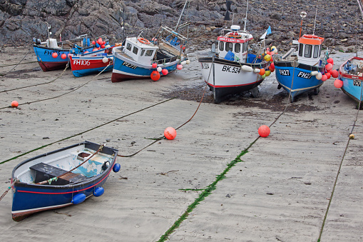 Coverack, England - May 7, 2016: Fishing boats moored at low tide in Coverack harbour. The crustacean and white fish catches are a vital part of the local economy 