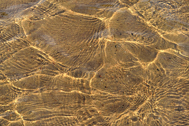 istock bottom of the river with sand background 579428736