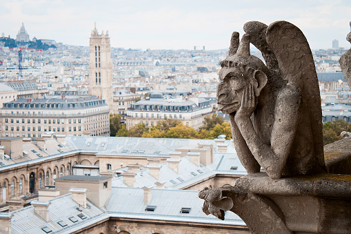 Stone Gargoyle (Chimera), Notre Dame Cathedral overlooking city of Paris