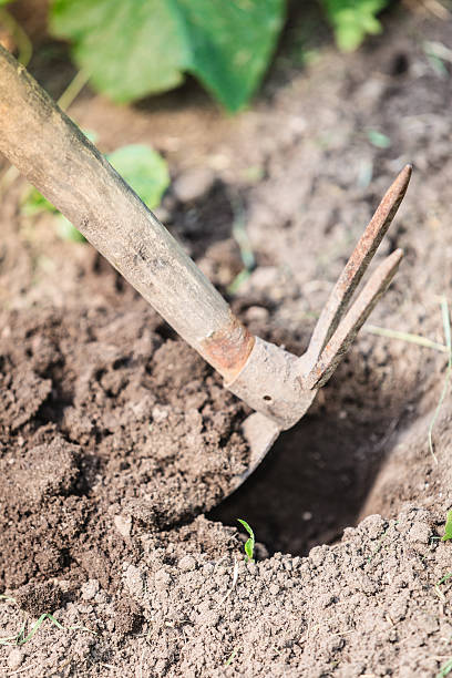 istock Closeup of digging soil 579429624
