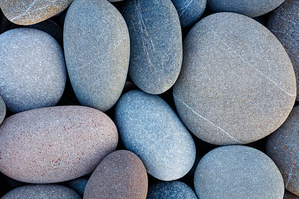 istock abstract background with dry round pebble stones macro 579431060