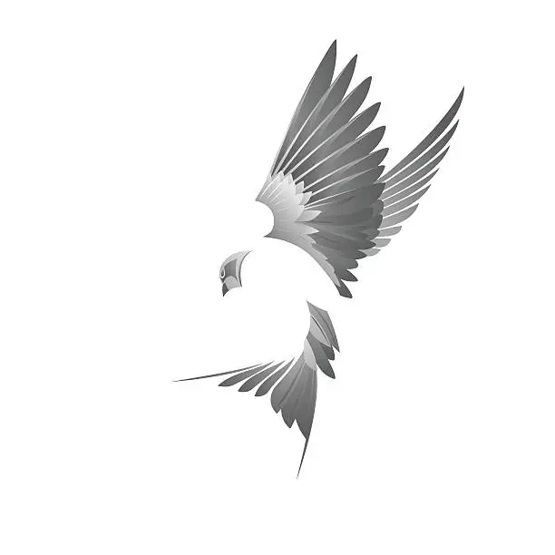 Vector illustration of Black bird illustration