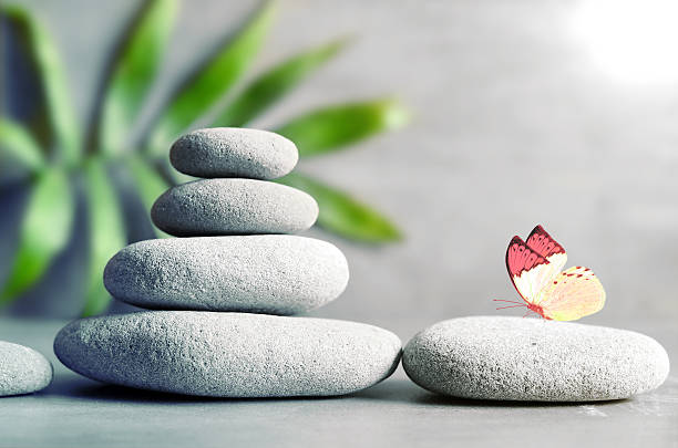 istock Stones balance and palm on grey background. 579431536