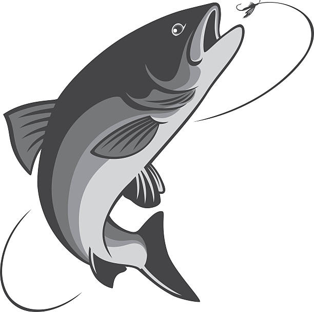 рыбалка - predatory fish stock illustrations