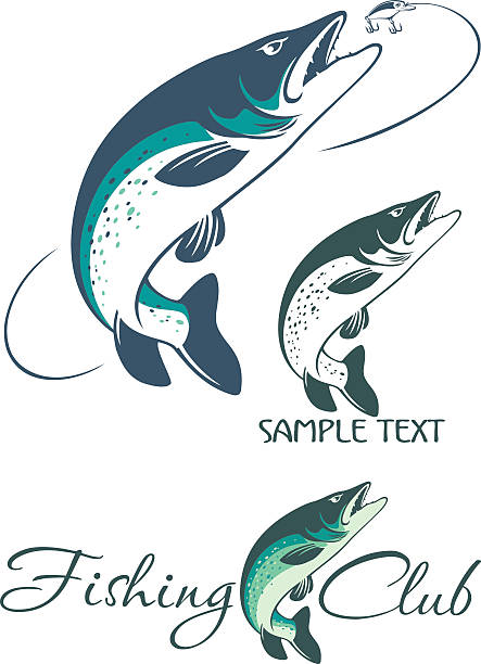 щука рыба - predatory fish stock illustrations