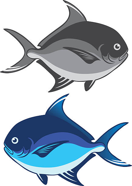 pomfret рыба - silver stock illustrations