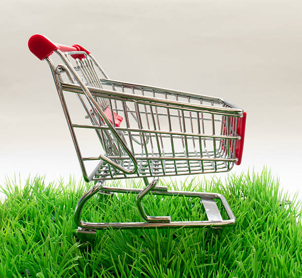 istock The original pattern of purchases for recreation and natural pro 579432434