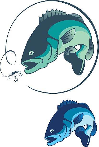 бас рыба - labrax stock illustrations