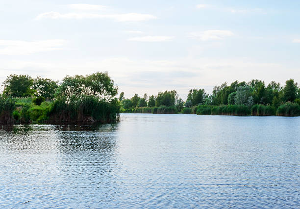 istock Open views of the river with green trees 579433142